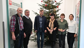 Weihnachtsbaum