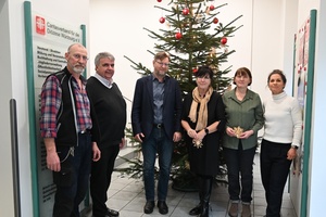 Weihnachtsbaum
