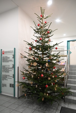 Weihnachtsbaum