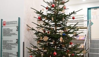 Weihnachtsbaum